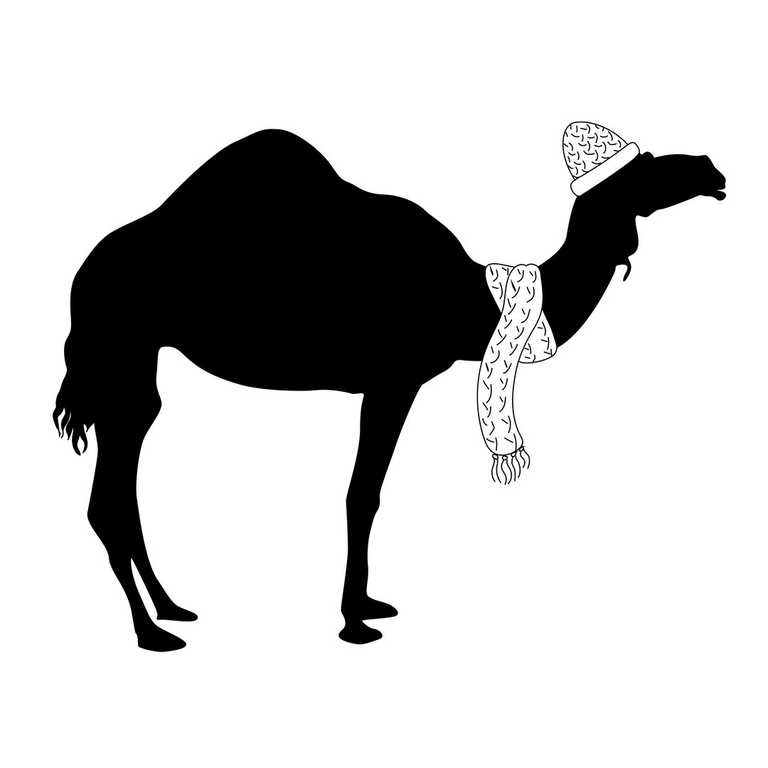 Camel