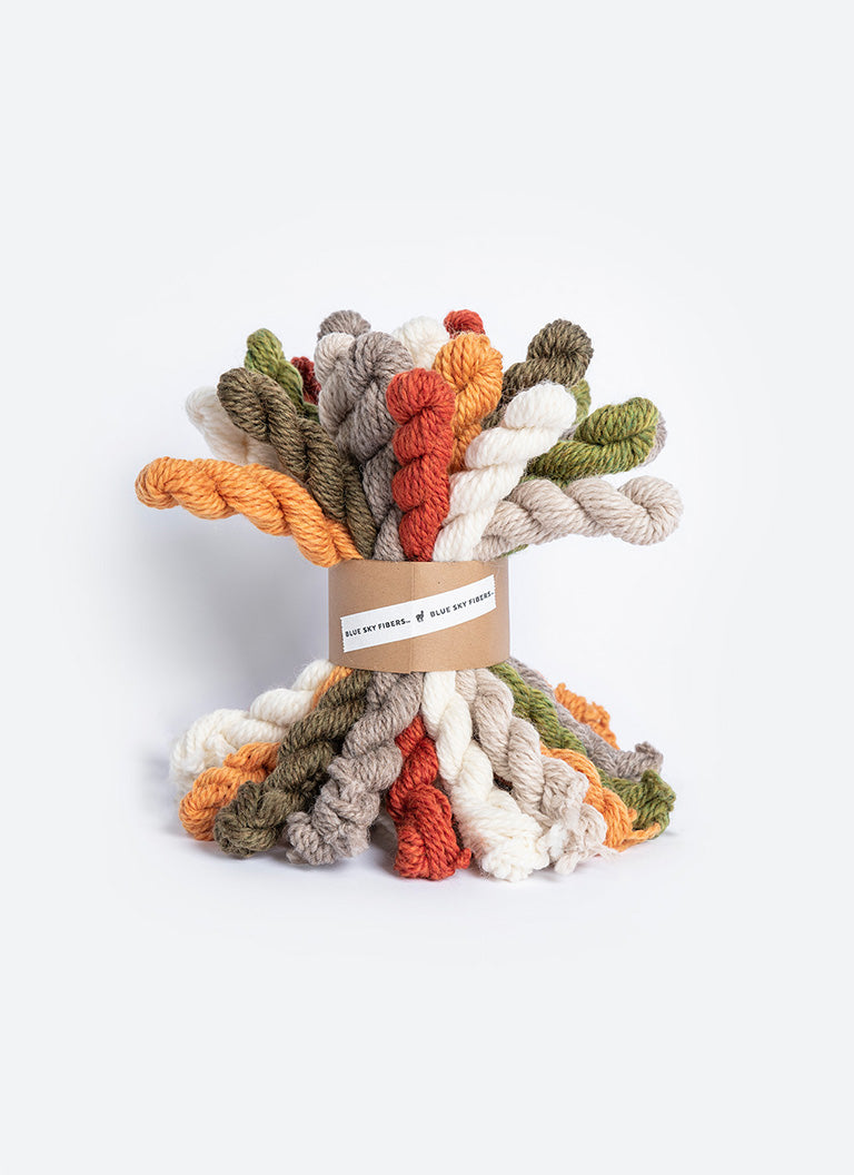 Woolstok Mini Hank Bundle (100% wool) - Fall Festival