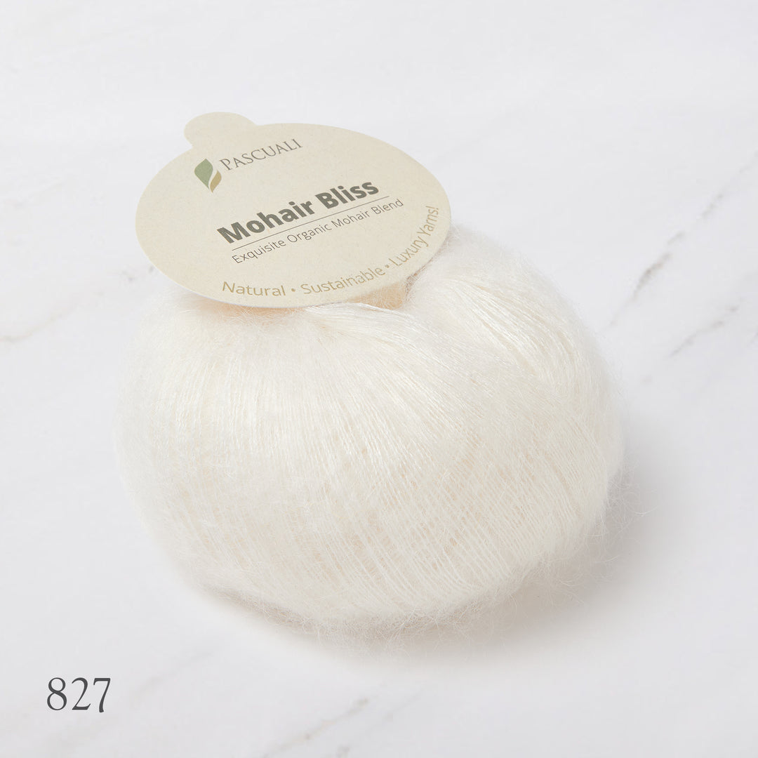 Mohair Bliss (60% kid mohair, 40% silk)