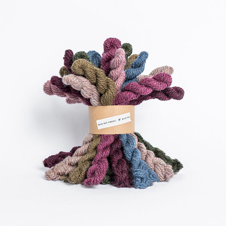 Woolstok Mini Hank Bundle (100% wool) - Bramble & Fig