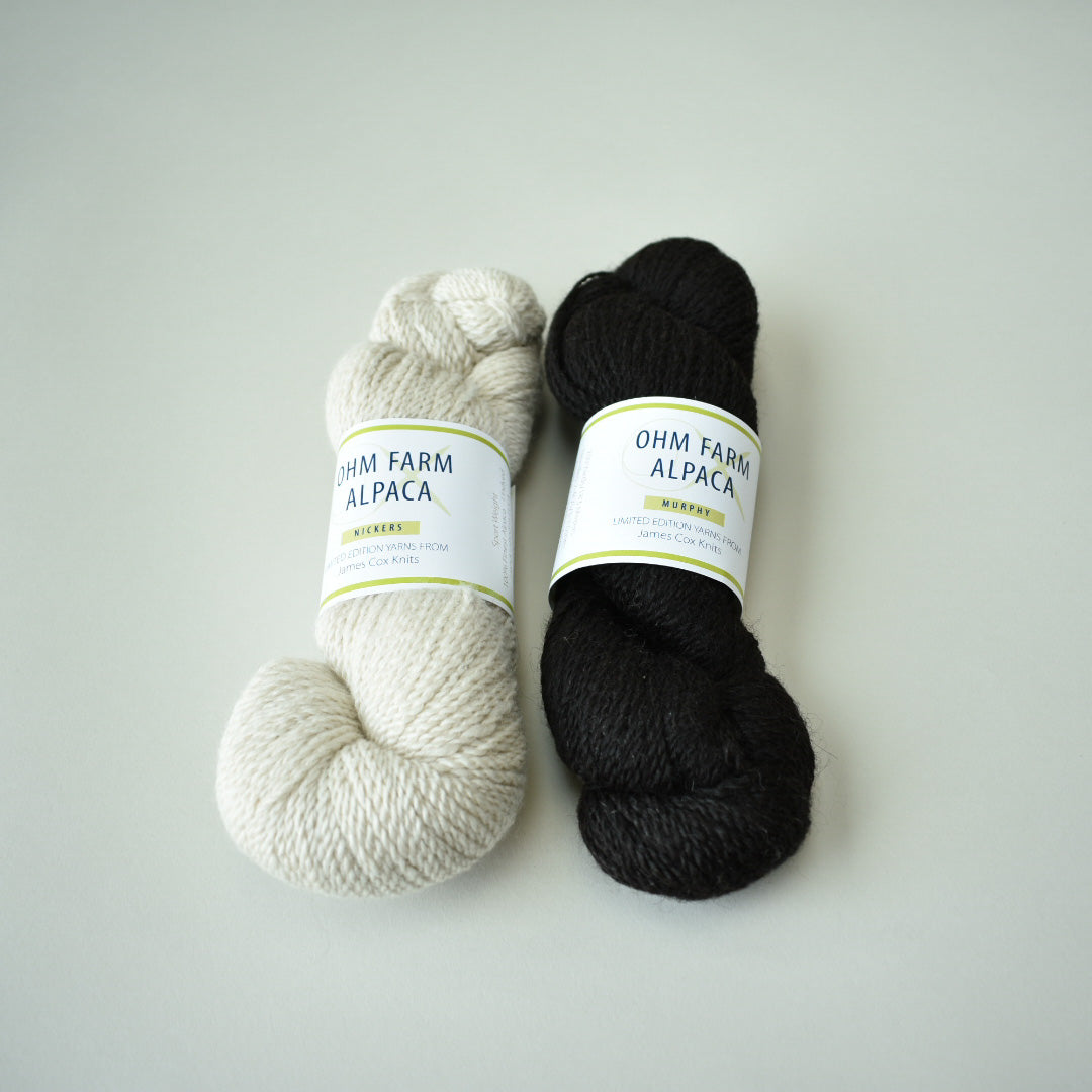 Reese Slouchy Beanie Kit