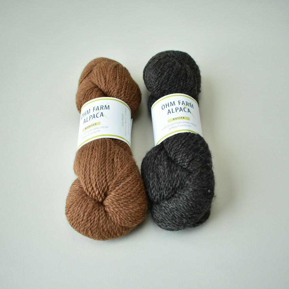 Reese Slouchy Beanie Kit