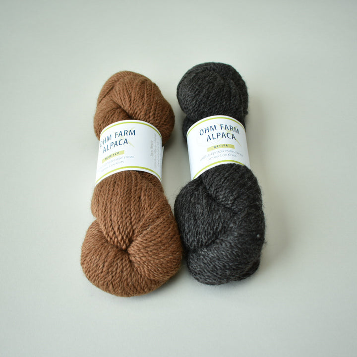 Reese Slouchy Beanie Kit