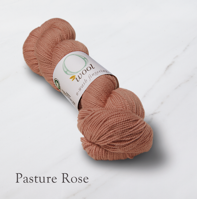 O-Wash Fingering (100% wool) — Row House Yarn